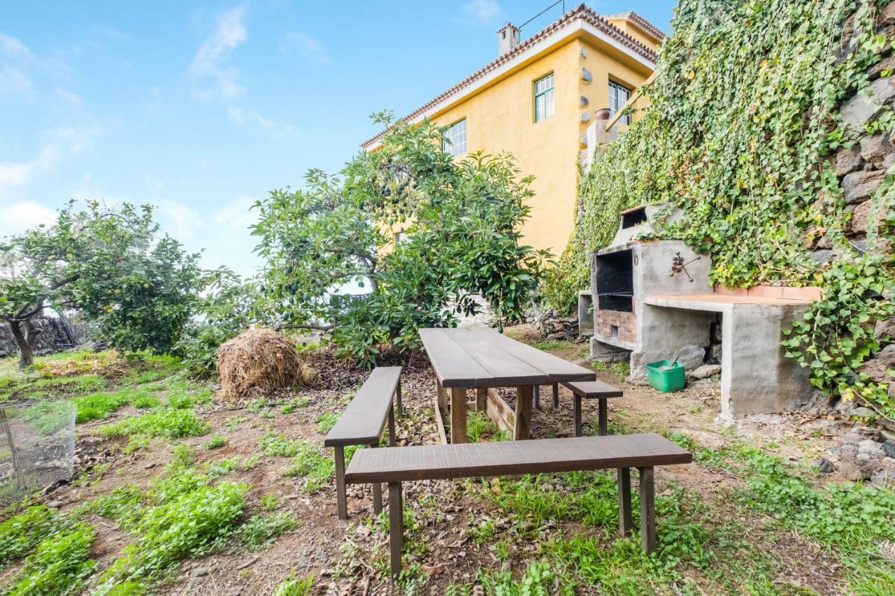 Viv Vac La Casita del Viejo Guía de Isora Exterior foto